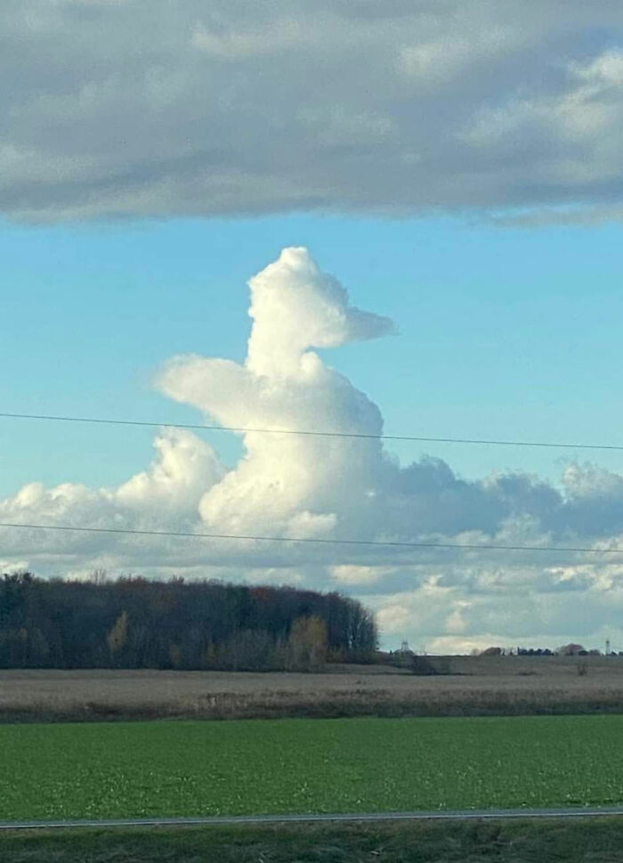A Cloud That Looks Like A Praying Cat