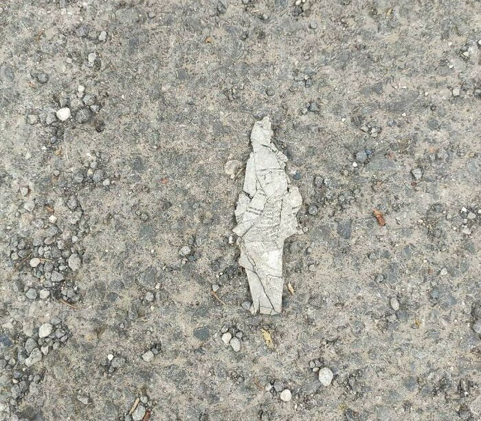 This Piece Of Foil I Found On The Street That Looks Like A Samurai Warrior