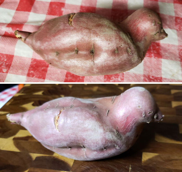 This Sweet Potato We Got That Looks Like A Bird