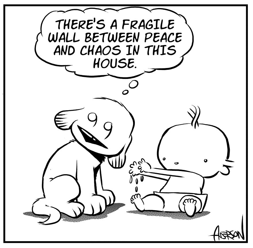 My Dog Is Better Than Baby Wipes