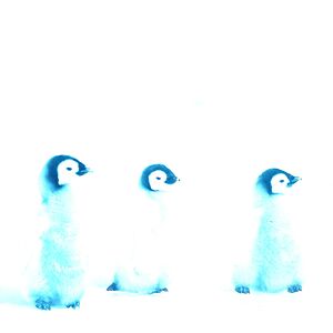 chancebaker020 avatar