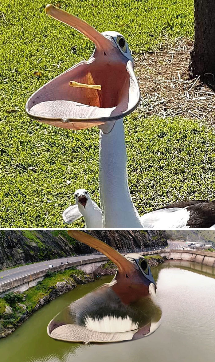 A Bird Catching A French Fry
