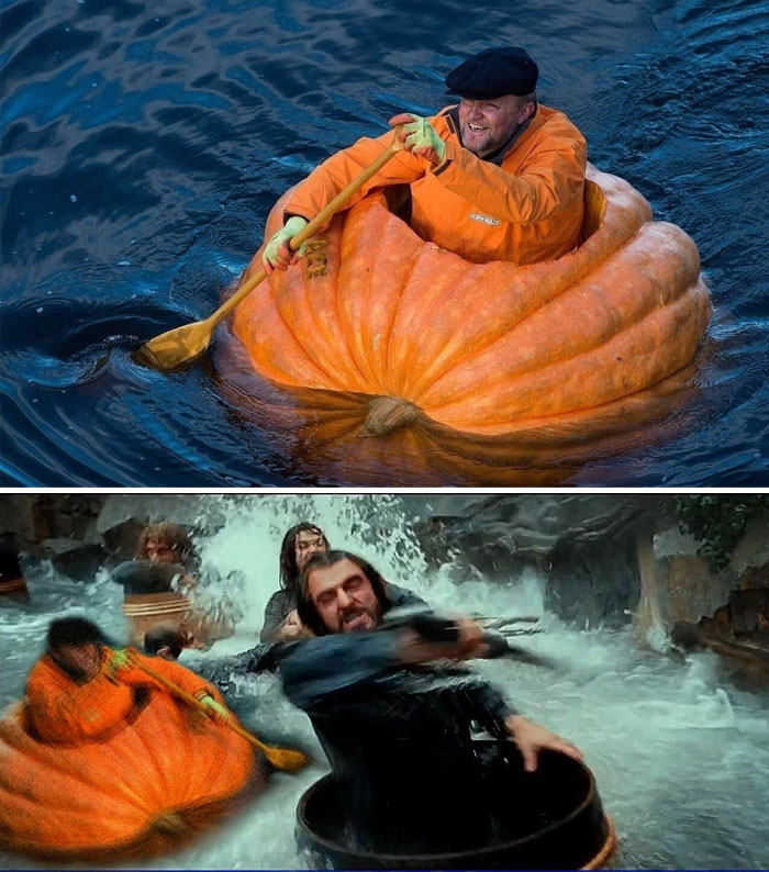 This Man Sailing In A Pumpkin He's Grown