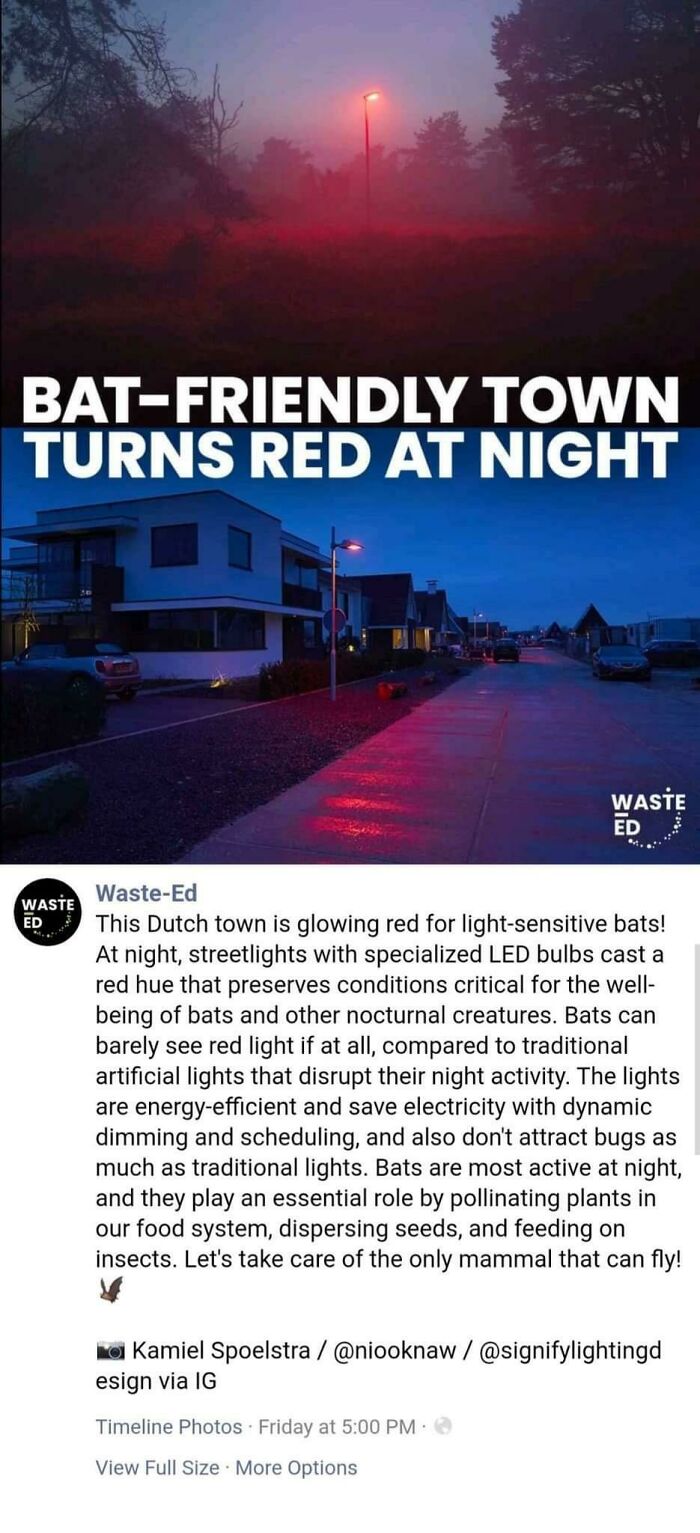 Bat-Friendly Town Turns Red At Night