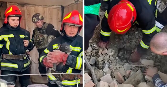 Ukrainian Policemen Pull Puppy Out Of Rubble And Return It To 77-Year-Old Owner Who’d Lost Everything Else