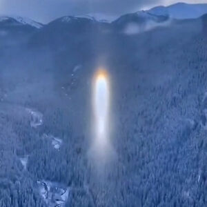 louissisniegas avatar