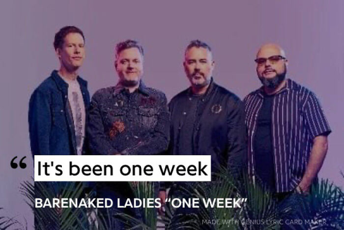 Stupid-Lyrics-Without-Context