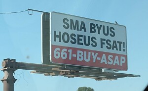 Hey Pandas, Post The Most Absurd Sign You've Seen In Your Hometown