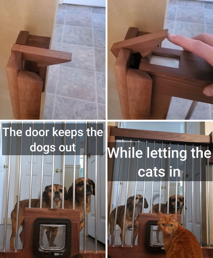 I Made A Pet Gate That Keeps The Dogs Out While Allowing The Cats To Pass