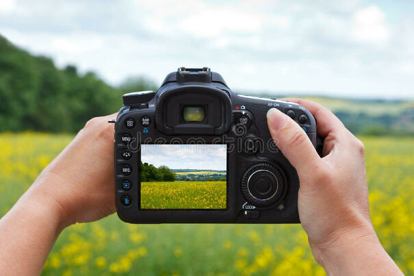 using-dslr-camera-to-take-photo-woman-looking-rear-lcd-screen-compose-landscape-her-liveview-32507419-6258babc83a89-jpeg.jpg