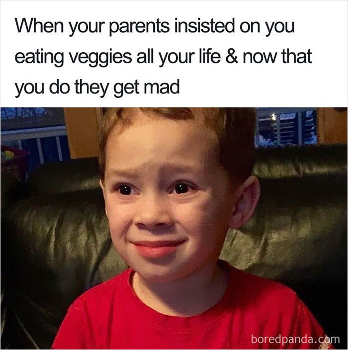 Vegan-Memes-Instagram