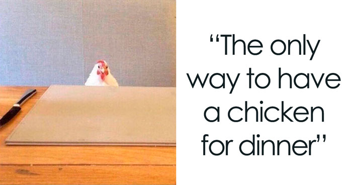 Over 350k People Follow This Instagram Account Dedicated To “Vegan Sarcasm” And Here Are 30 Of The Funniest Memes Posted There