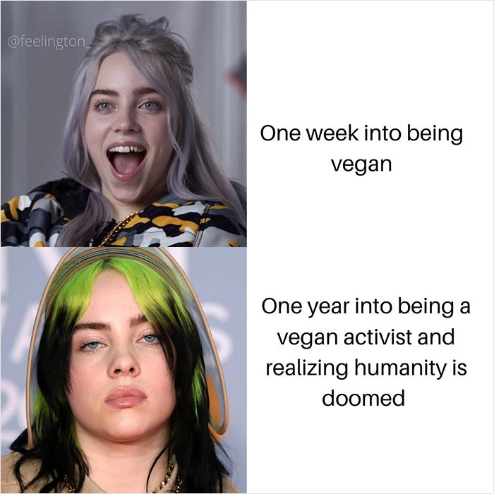 Vegan-Memes-Instagram