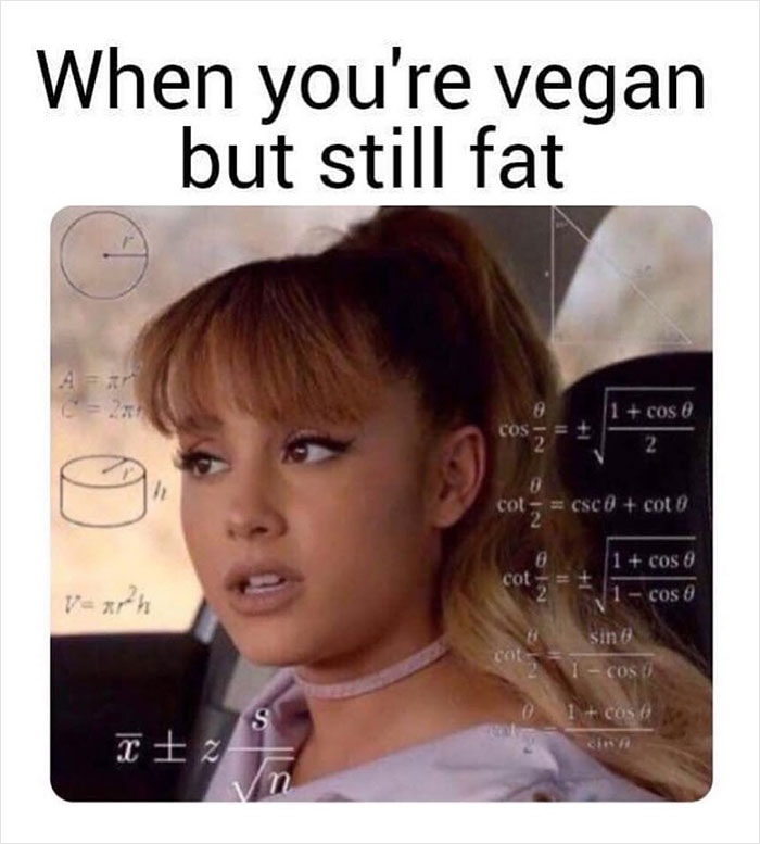 Over 350k People Follow This Instagram Account Dedicated To Vegan Sarcasm And Here Are 30 Of