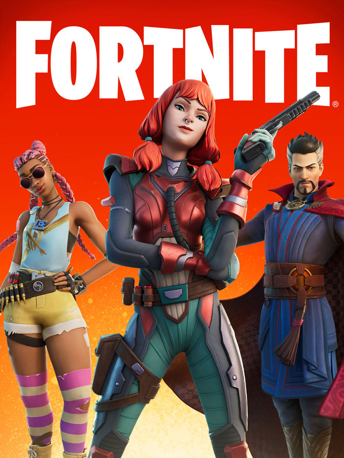 Fortnite video game poster