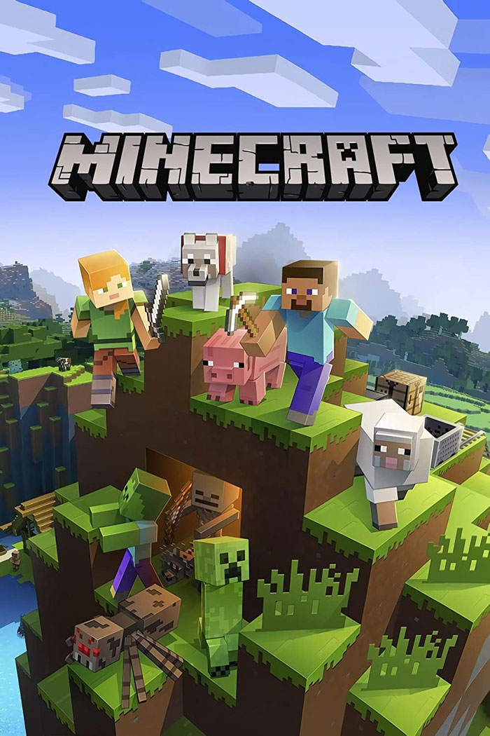 Minecraft video game poster