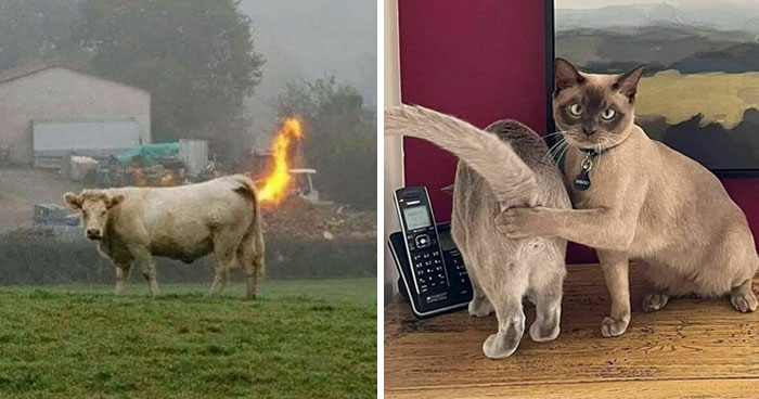 Esta cuenta de Instagram recopila imágenes que merecen ser vistas al menos una vez en la vida (45 fotos)