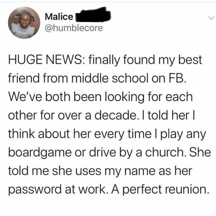 Wholesome-Meet-The-Internet