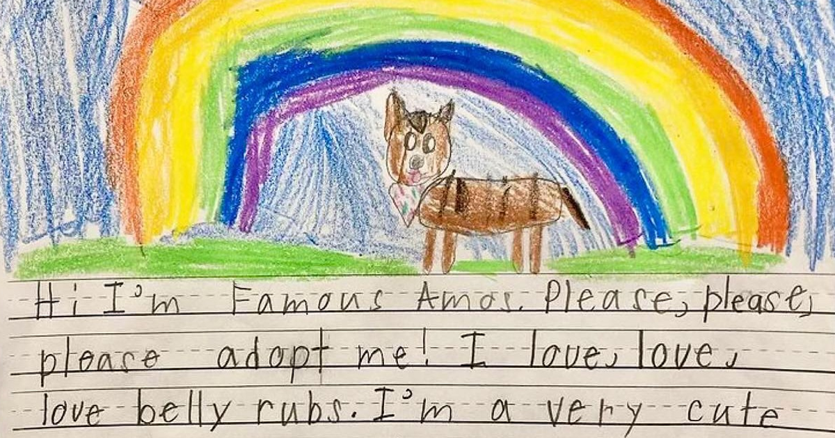 Second Graders Wrote Adorable Letters On Behalf Of Shelter Animals To Get Them Adopted, And It Worked - Vimarsana News