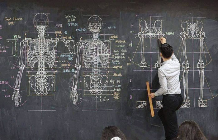 Profesor de anatomía dibujando la lección en la pizarra