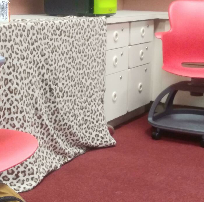 A Kid Fell Asleep Under The Counter In My Study Hall. Instead Of Waking Him Up, The Teacher Got Out A Blanket To Block The Light. She Is Amazing