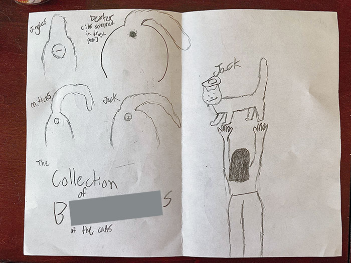 My 10-Year-Old Made Me A Birthday Card With Detailed Drawings Of The Buttholes Of Our 4 Cats And Titled It: “The Collection Of Buttholes Of The Cats”
