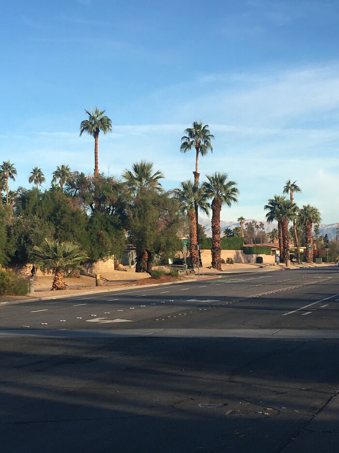 New Pictures That I Took (37 Pics)