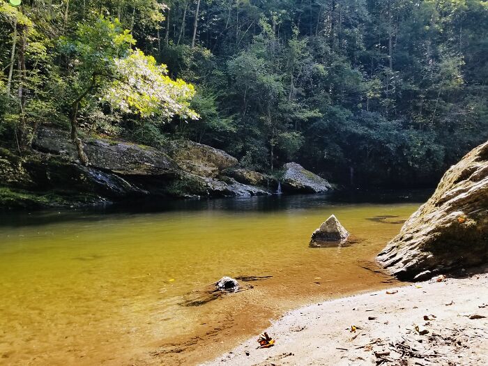 Swimming In The River. It’s Finally Summer—smokies, Here I Come!
