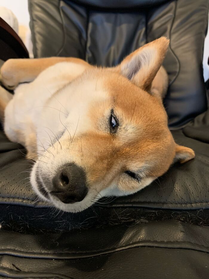 Zzzzzzzz