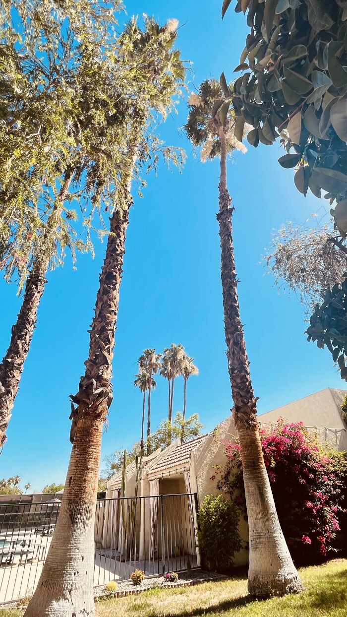 New Pictures That I Took (37 Pics)