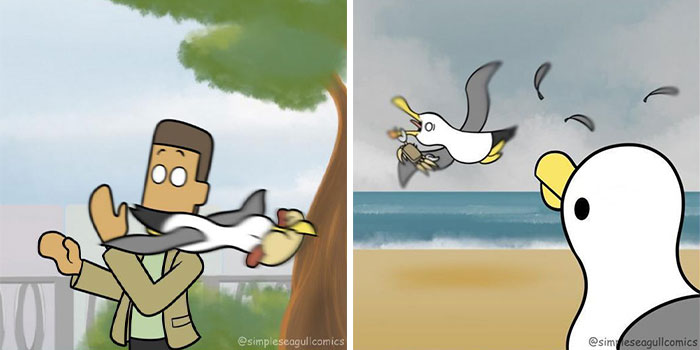 “Oh, He Likes Those”: Tesco’s Staff Have Given Up Trying To Stop Steven The Seagull From Stealing Any More Crisps “Oh, He Likes Those”: Tesco’s Staff Have Given Up Trying To Stop Steven The Seagull From Stealing Any More Crisps