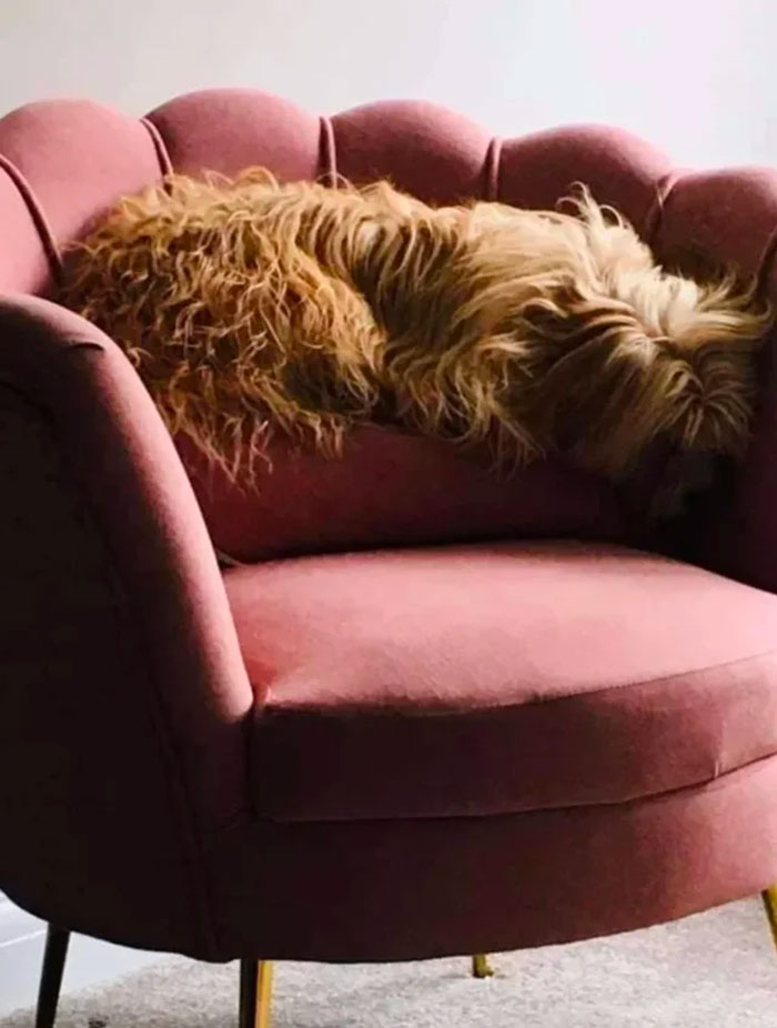 I'm Not Exactly Sure What Is Happening Here