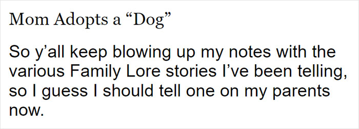 Parents Adopt A Strange Dog, Find Out It's Actually A Wolf Hybrid, It Turns Out To Be The Most Wholesome Dog Ever Parents Adopt A Strange Dog, Find Out It's Actually A Wolf Hybrid, It Turns Out To Be The Most Wholesome Dog Ever