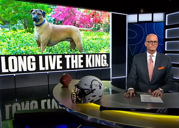 Heartfelt Tribute To Family Dog Who’d Passed Away Has Touched Thousands Heartfelt Tribute To Family Dog Who’d Passed Away Has Touched Thousands