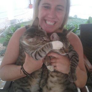 thepointcostarica avatar