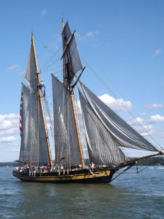 Tall Ships Are Finally Coming Back To My Town This Summer.