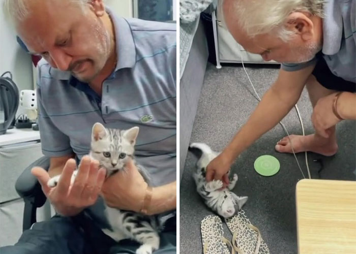 Dad Who Dislikes Cats Became Obsessed With The One His Son Brought Home, Now They’re Inseparable
