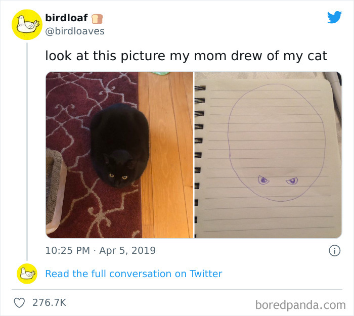 Funny-Cat-Dog-Tweets