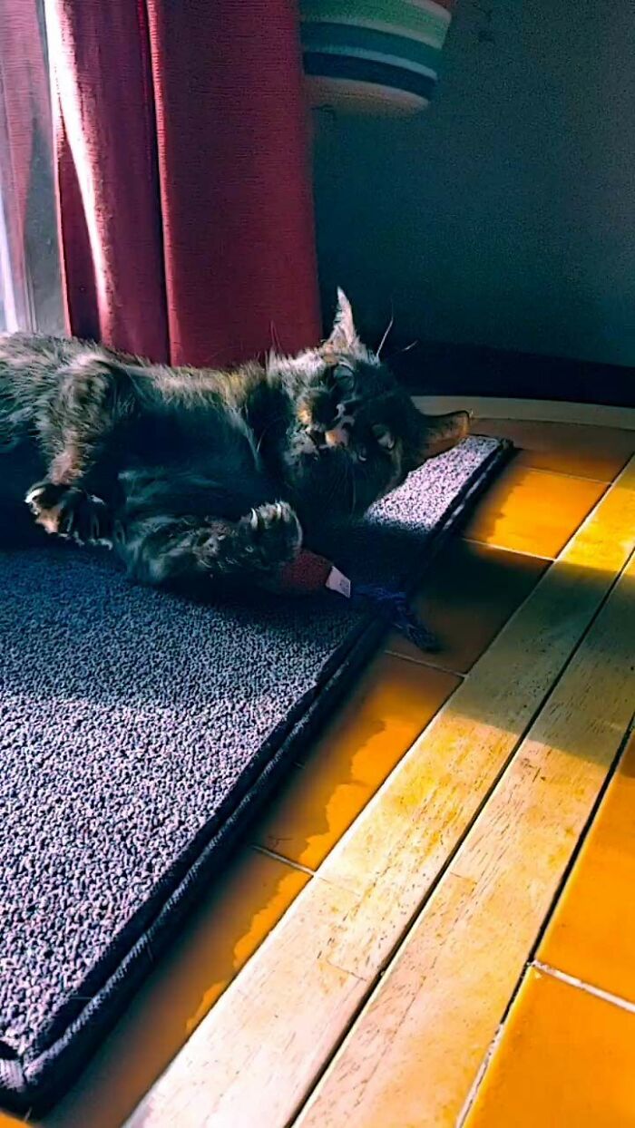 She Was Up To Something, Just Don't Know What