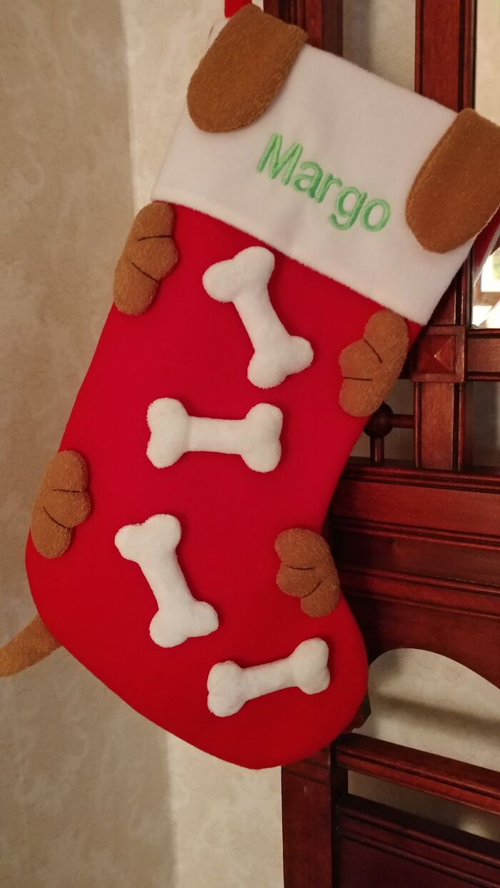 Santa Visits Doggies Too