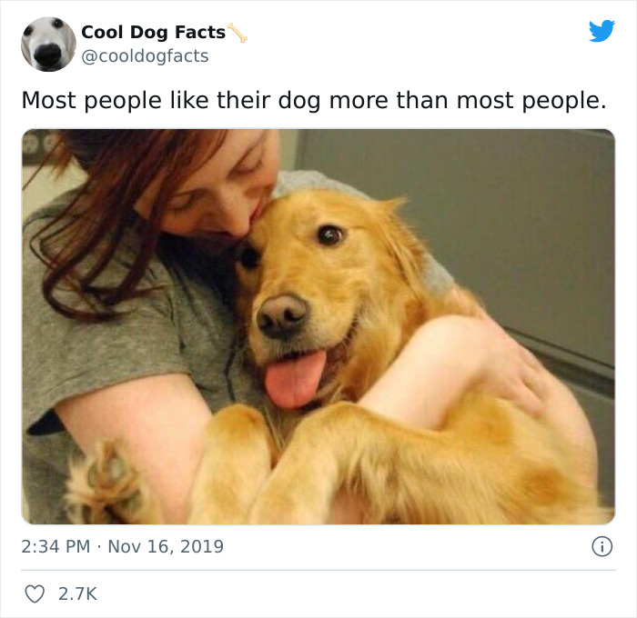 Cool-Dog-Facts-Twitter