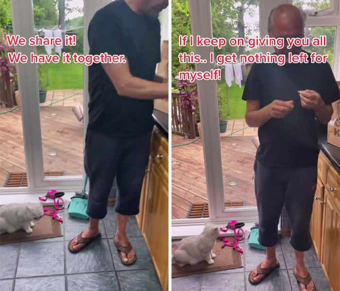 Dad Who Dislikes Cats Became Obsessed With The One His Son Brought Home, Now They’re Inseparable Dad Who Dislikes Cats Became Obsessed With The One His Son Brought Home, Now They’re Inseparable