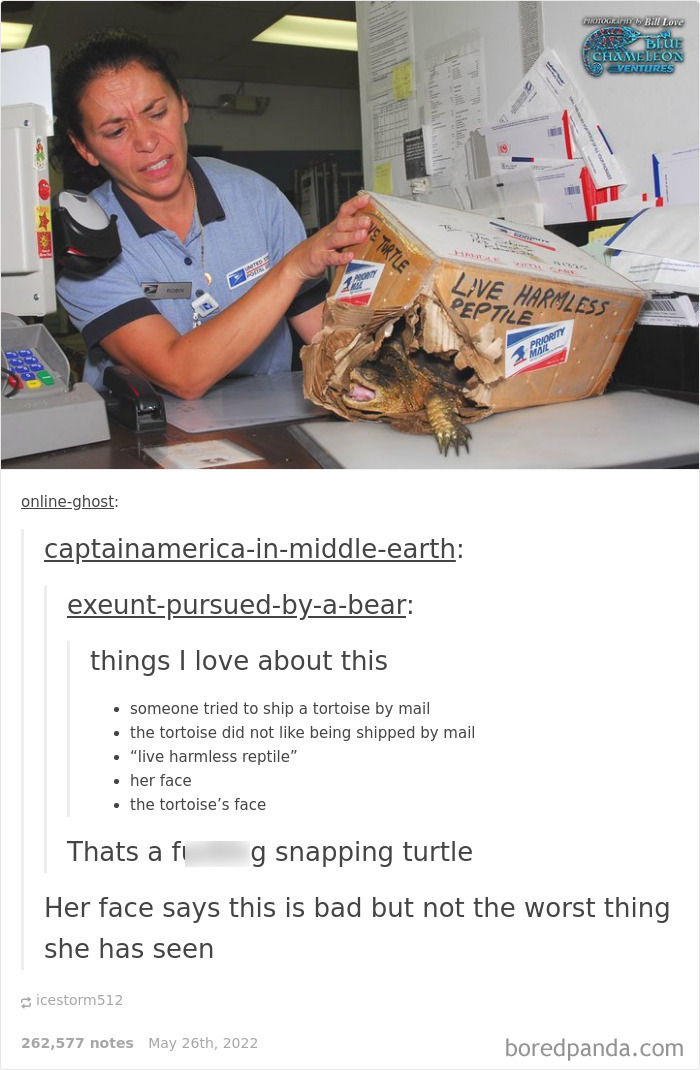 Weird-Side-Of-Tumblr-Posts
