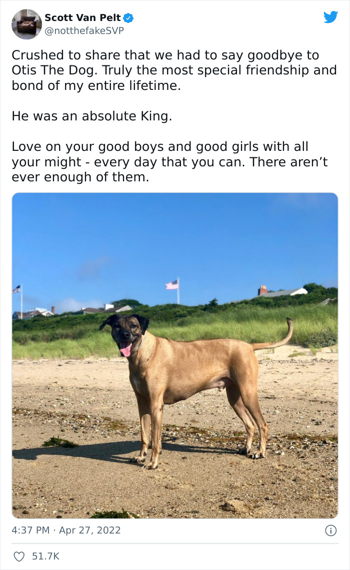 Heartfelt Tribute To Family Dog Who’d Passed Away Has Touched Thousands Heartfelt Tribute To Family Dog Who’d Passed Away Has Touched Thousands