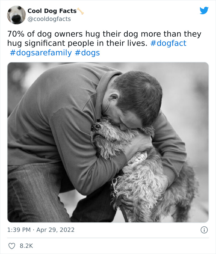 Cool-Dog-Facts-Twitter