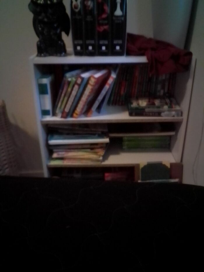 My Bookshelf, I Love Reading So Much I Am Currently Reading The House Of Night Series About Vampires I Counted And Have Over 100 Books Half I Have Read And Half Not Lol Side Note My Piggy Bank Is Wearing A Mask (The Toothless)