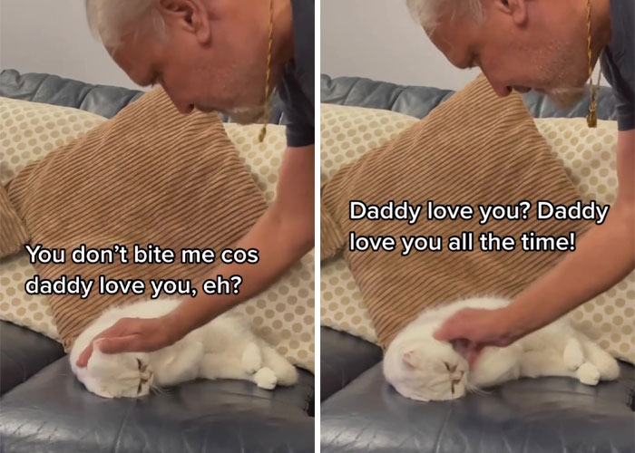 Dad Who Dislikes Cats Became Obsessed With The One His Son Brought Home, Now They’re Inseparable Dad Who Dislikes Cats Became Obsessed With The One His Son Brought Home, Now They’re Inseparable