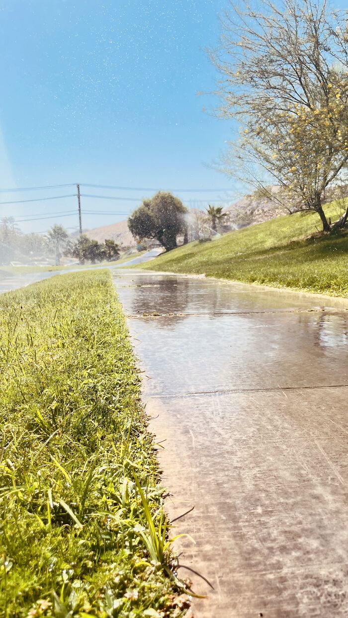 New Pictures That I Took (37 Pics)