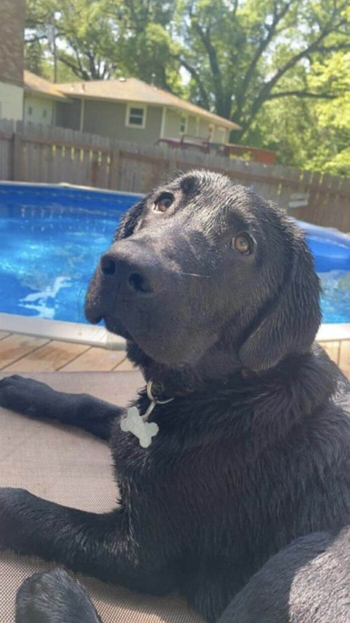 Finnigan By The Pool