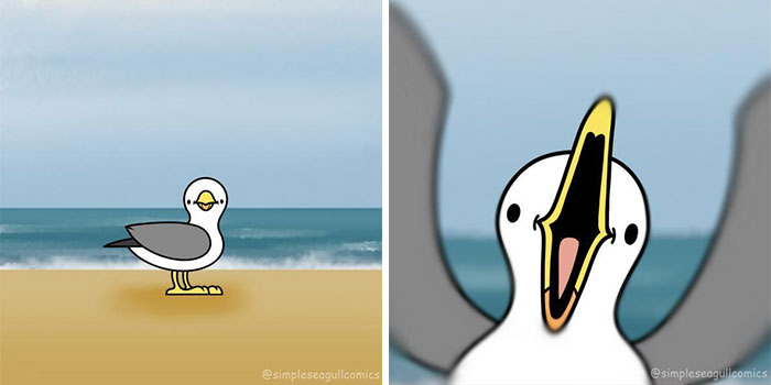 “Oh, He Likes Those”: Tesco’s Staff Have Given Up Trying To Stop Steven The Seagull From Stealing Any More Crisps “Oh, He Likes Those”: Tesco’s Staff Have Given Up Trying To Stop Steven The Seagull From Stealing Any More Crisps